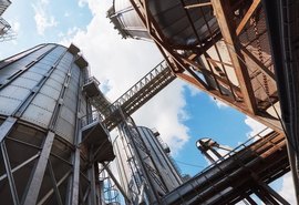 Pesquisa da USP pode aumentar em até 60% produção de etanol de segunda geração