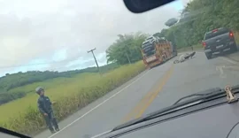 Acidente na BR-104 entre Branquinha e Murici deixa trânsito lento nesta sexta-feira