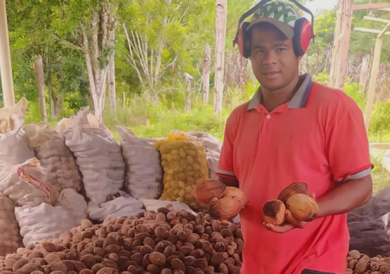 Cooperativa da agricultura familiar exporta 228 toneladas de coco de piaçava para o Egito