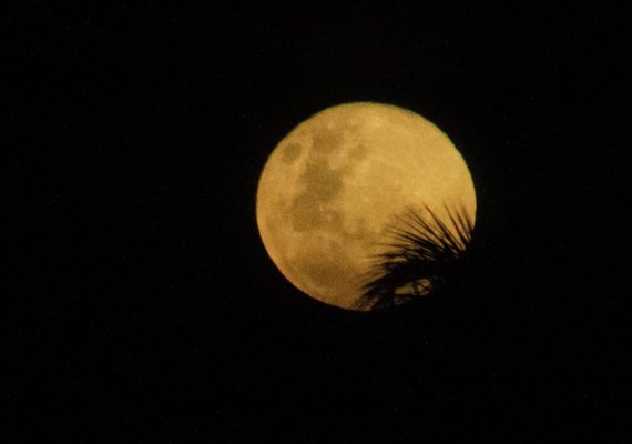 Primeira superlua de 2026 é observada no céu do Brasil neste sábado