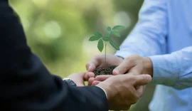 Relatório de Sustentabilidade de cooperativa financeira reforça compromisso com o desenvolvimento sustentável