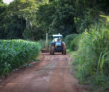 Prazo para pedidos de liquidação de dívidas rurais pelo BNDES termina hoje