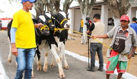 Parque Mair Amaral está pronto para 36ª Expo Bacia Leiteira