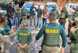 Operação “Mata Atlântica em Pé” flagra desmatamento em Maceió