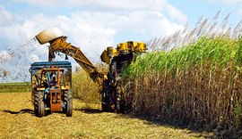 ATR tem variação negativa de 2% no primeiro mês do ano