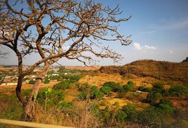 Cerrado: destinos que revelam a riqueza do bioma que é berço das águas