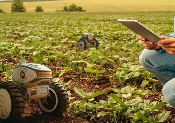 Conheça as tendências para o agronegócio em 2024