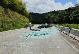 Carga de vidro cai de caminhão e deixa trânsito lento na BR-101, em Flexeiras