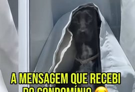 Cachorra vira ‘noiva fantasma’ e assusta crianças em condomínio