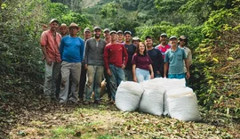 Cooperativismo brasileiro é destaque em prêmios nacionais e internacionais de sustentabilidade