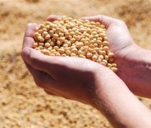 Incertezas globais e custos elevados mantêm grãos sob pressão