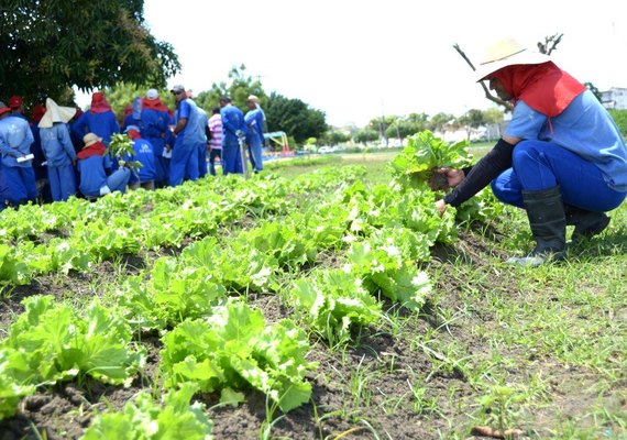 Referência no país, presídio alagoano completa 22 meses com 0% de reincidência criminal