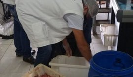 Vigilância Sanitária apreende 300kg de carne estragada no Benedito Bentes