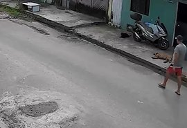 Polícia investiga suspeita de envenenamento de cães no Tabuleiro em Maceió