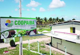 Coopaiba reestrutura cultura do coco em Alagoas