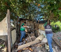 Fiscalização apreende drogas e remove barracos irregulares no Vergel do Lago