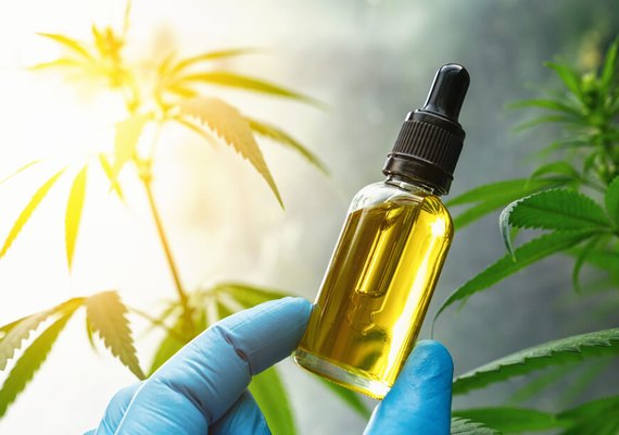 Anvisa aprova comercialização de Extrato de Cannabis que promete atuar contra ansiedade, depressão e insônia