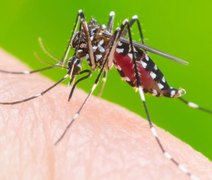 Aumento alarmante: Mais de 4 mil casos de dengue confirmados em AL