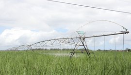 Comissão aprova ressarcimento para produtor rural por perdas decorrentes da falta de luz
