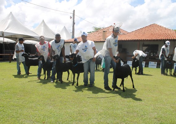 8ª Expoalagoas Genética terá programação recheada