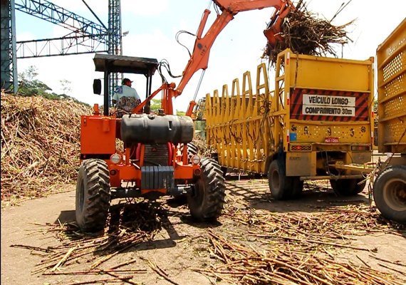 Alagoas beneficiou 15,9 mi de toneladas de cana até fevereiro