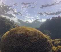El Niño influencia ecossistema marinho e pesca no Brasil, aponta estudo internacional