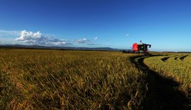 Valor Bruto da Produção Agropecuária em 2023 é estimado em R$ 1,179 trilhão