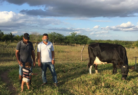 Assistência de políticas públicas possibilita que família invista em pastoreiro rotativo