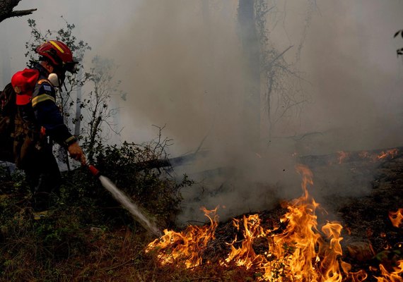 Onda de calor na Europa pode pressionar preços de alimentos e azeite
