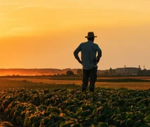 Cooperativas agro ampliam investimentos em 2026