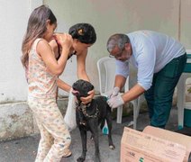 Começa sábado (02) campanha de vacinação antirrábica em Maceió