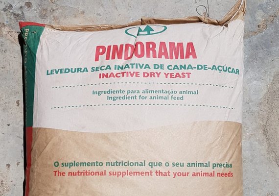 Pindorama promove lançamento de levedura inativa da cana