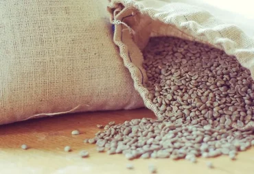 Café arábica lidera mercado premium e domina produção mundial