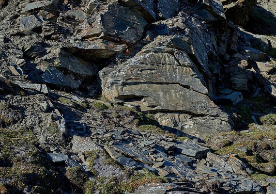 Segredos do Ártico: arqueólogos descobrem 31 novos petróglifos