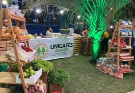 Cooperativas integram intercâmbio tecnológico Rota da Fruticultura