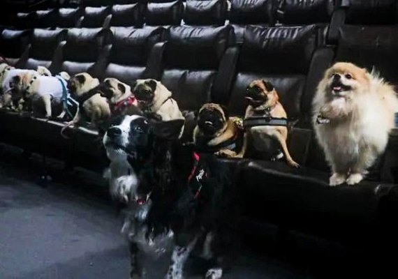 Cinema do Arapiraca Garden Shopping cria sessões petfriendly