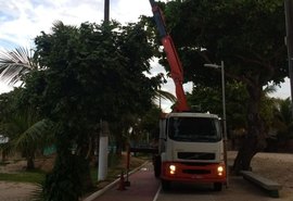 Iluminação pública: orla marítima de Maceió recebe manutenção