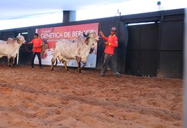 Animais do 4º Genética de Berço estão prontos para atender pecuária leiteira