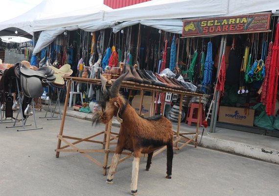 Negócios fechados durante a 72ª Expoagro Alagoas ultrapassam R$ 23 milhões