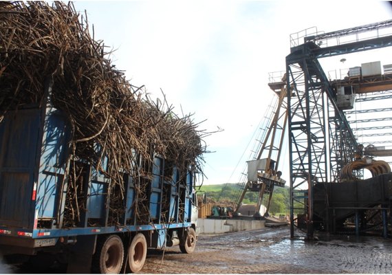 Setor canavieiro aposta nas chuvas para manter crescimento na safra 20/21
