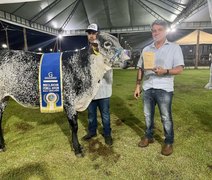 Expoalagoas Genética 2026 aposta em inovação e melhoramento do rebanho