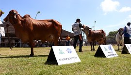 Domício Silva destaca potencial da Expoalagoas Genética