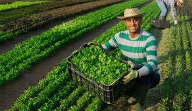 Sucessão no campo e o desafio da nova geração: o futuro das cooperativas agro em jogo
