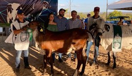 Projeto inclui a Expo Bacia Leiteira no calendário turístico oficial do Estado