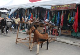 Negócios fechados durante a 72ª Expoagro Alagoas ultrapassam R$ 23 milhões