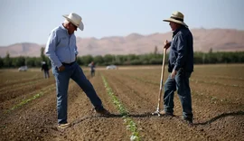 Cooperativas lideram nova fase do financiamento do agro no Brasil