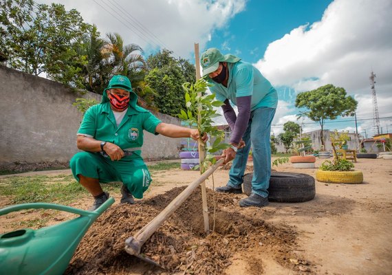 Maceió: Secretaria de Desenvolvimento Sustentável planta 1.300 mudas de árvore em 2021