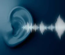 IA promete detectar inverdades com 84% de precisão