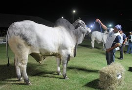 Expoalagoas Genética é vitrine para produtos da agropecuária alagoana