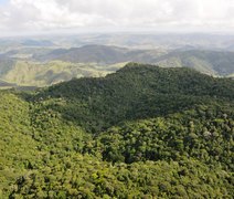 Alagoas tem o menor índice de desmatamento do Nordeste